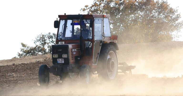 beitepusser eller slåmaskin