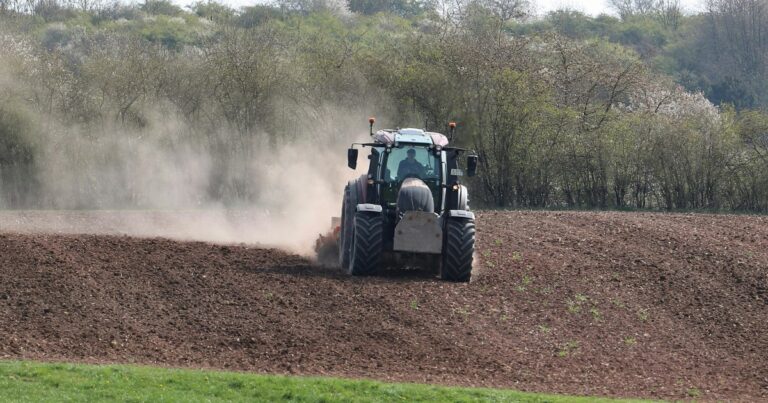 De vanligste feilene ved bruk av beitepusser