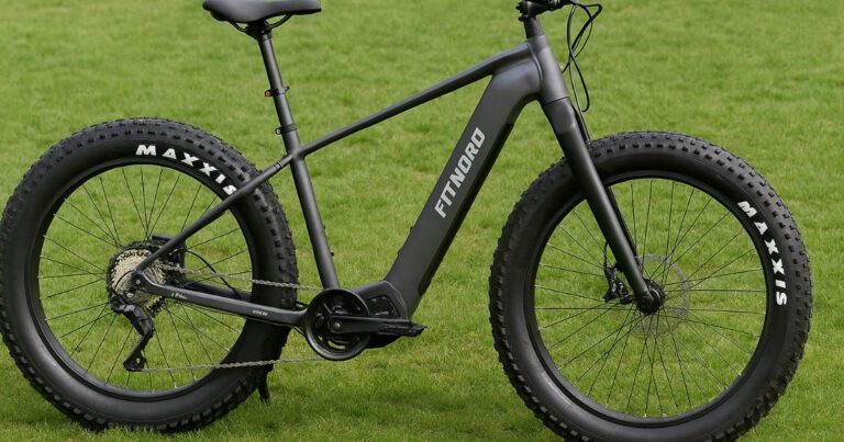 fitnord rumble 800 elsykkel