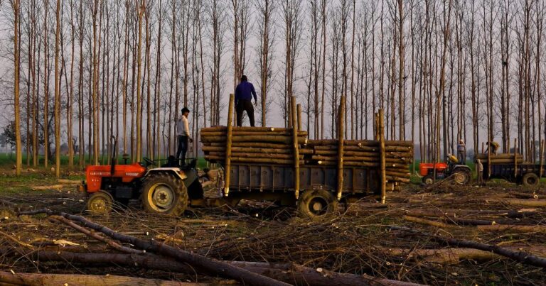 vedkloyver til traktor