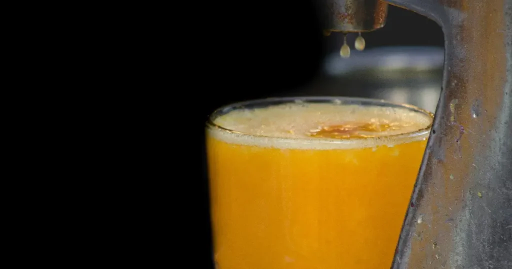 Beste sitruspresse test