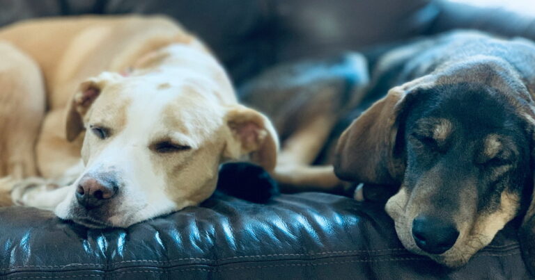 sovesofaen mer komfortabel