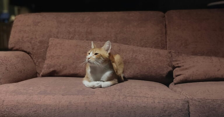 U-sofa eller hjørnesofa