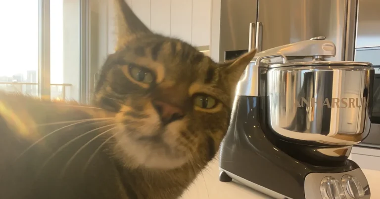 Ankarsrum - Assistent Original AKM6230BD