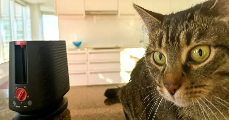 bistro brodrister 2 skiver