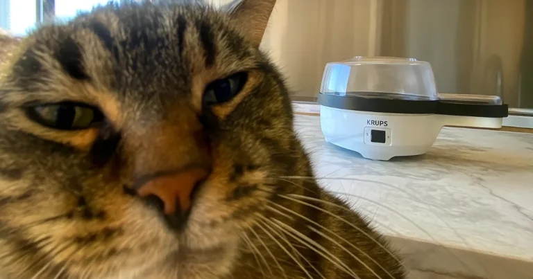 Krups - Eggekoker 7 egg 350W