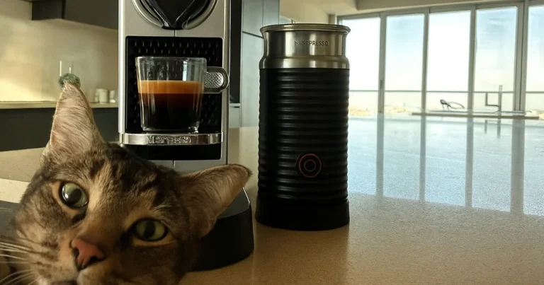 Nespresso - Citiz & Milk kaffemaskin 1L sølv