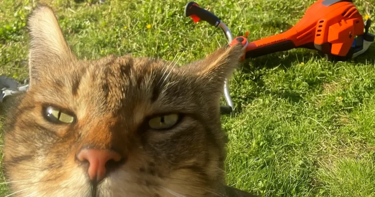 ryddesag bensin 52cc