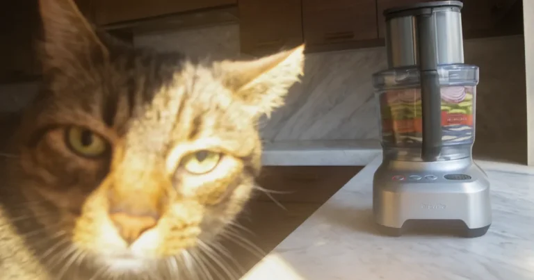 Test av Sage - Kitchen Wizz Pro BFP800BAL foodprocessor 3,7L