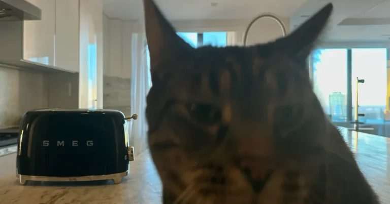 Test av SMEG – Brødrister TSF01 2 skiver svart