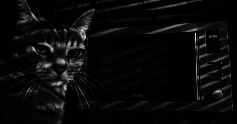 SMEG - Mikrobølgeovn MOE25X krom