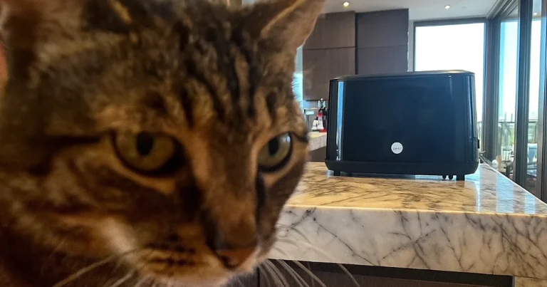 Test av Wilfa – TO3GB-1000 brødrister svart