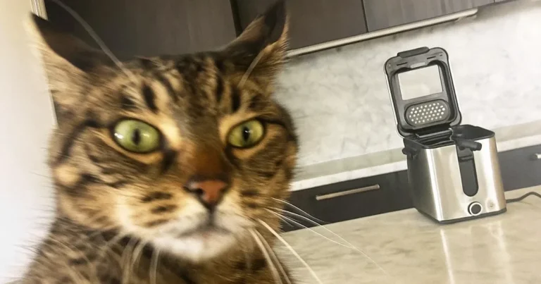 WMF - KITCHENminis frityr & kutter 1,0L