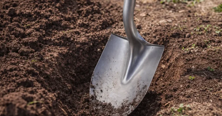 Test av Spade